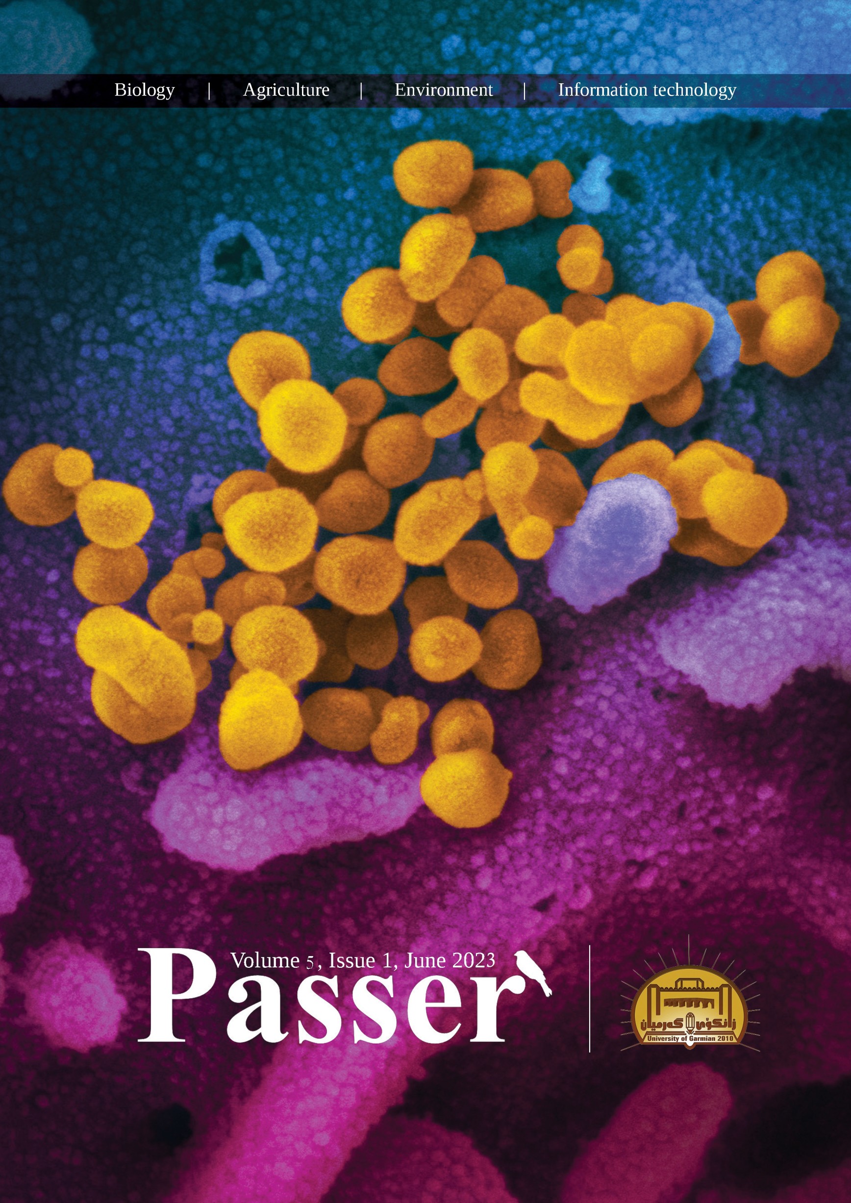 Passer